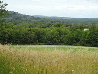 Obraz premium View of the fields and forests