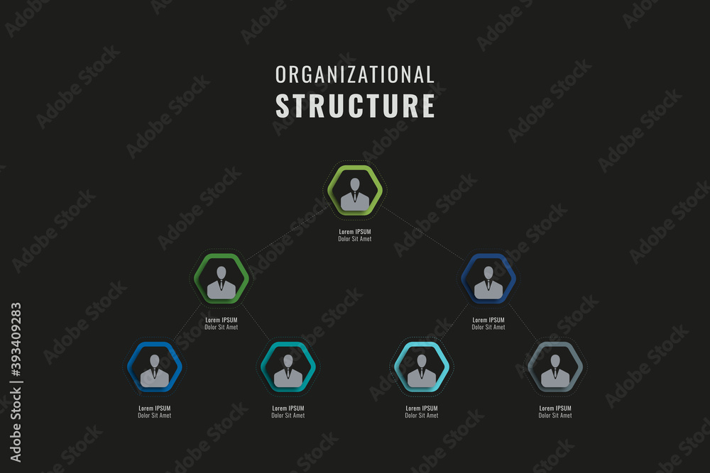 Poster vertical organizational structure of the company template. multicolor hexagonal elements with person