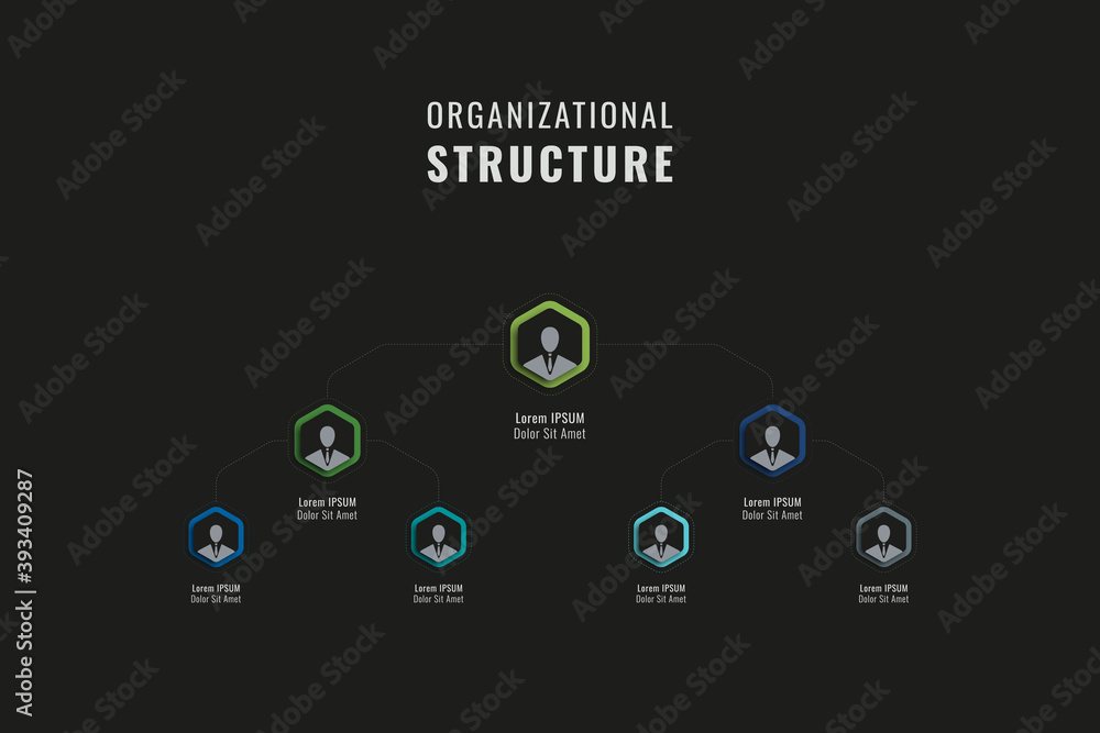 Poster vertical organizational structure of the company template. multicolor hexagonal elements with person