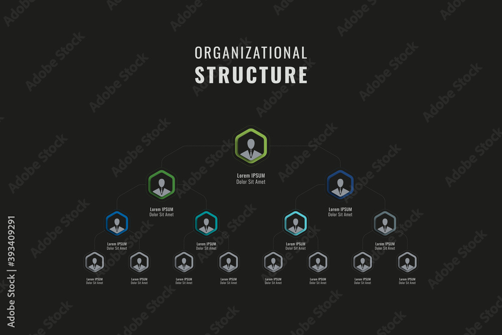 Poster vertical organizational structure of the company template. multicolor hexagonal elements with person