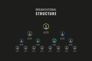 Vertical organizational structure of the company template. Multicolor hexagonal elements with person symbols, names and job positions on a black background. Vector business hierarchy. Eps 10 - obrazy, fototapety, plakaty
