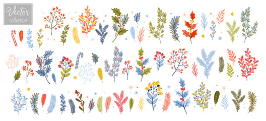 Obraz premium Christmas plants drawn in doodle style. Vintage, Branches of Christmas trees, berries, mistletoe and other plants.