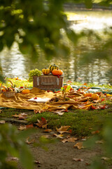 Outdoors picnic. Autumn picnic. Picnic basket