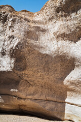a white fossilized limestone cliff in the horseshoe section of the nekarot stream bed in the...
