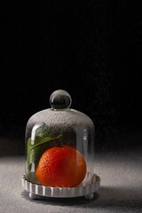 Winter time fruits. Fresh juicy clementine-mandarine-tangerine with leaves under glass cover.