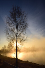 Sunrise in November over a lake in Bavaria, with bare trees, fog and haze rising towards the sky