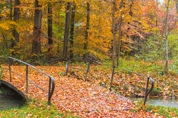 Fototapeta premium Bridge with autumn leaves over a small stream in the forest