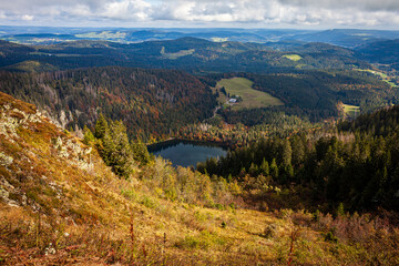 Fototapeta na wymiar Lake in the mountains among the forests in Schwarzwald, Feldberg