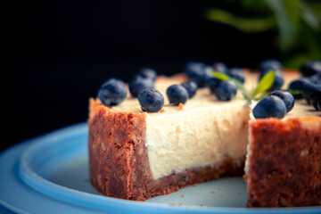delicious new York cheesecake with blueberries in the sun