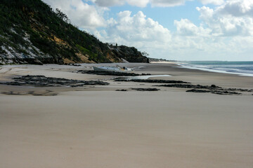 East coast beach with mangroves at Fraser Island, Queensland, Australia