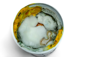 Fototapeta na wymiar Food contaminated with mold. Mold on the yogurt