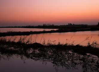 Rice fields
Landscape with sunset, dusk with orange reflections of sunset