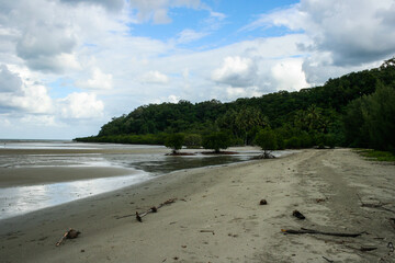 Mangrove Beach at Bloomfield Track in North Queensland, Daintree Rainforest, Cape Tribulation, Australia