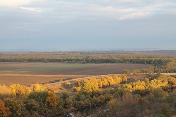 Fototapeta premium landscape with river and forest