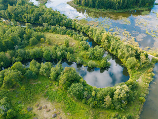 Drone view of curved river, green trees on shore and lawn. Marshland. Summer latvian nature.