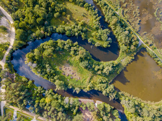 Obraz premium Top drone view of curved river, green trees on shore and lawn. Marshland. Beautiful summer landscape.