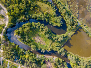 Top drone view of curved river, green trees on shore and lawn. Marshland. Beautiful summer landscape.