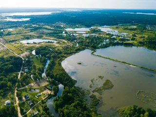 Foto op Canvas Top drone view of country village in marshland. Green trees. Coastal thickets in water. Scenic landscape. © Aleks Kend