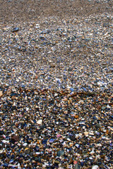 seashells on seashells