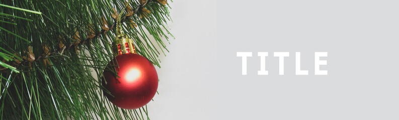 Red ball on a branch close-up. Christmas tree toy. Festive design