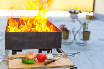 Fresh tasty vegetables are waiting to be prepared on grill