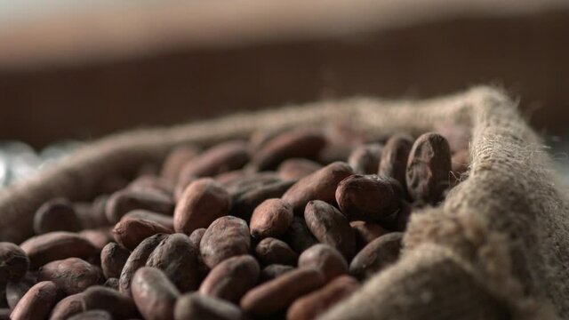 Bag of cocoa beans falls onto the table. The concept of high-quality chocolate desserts and the refined taste of chocolate in home and restaurant kitchens. Slow motion