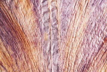 Background from dried petal of a poppy