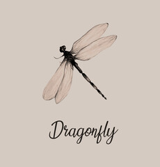Vintage aquarelle painting dragonfly illustration 