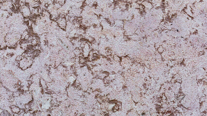 textured plaster on a cement-gypsum base as a calm building background