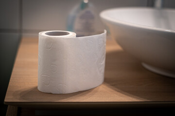  white started toilet paper roll stands next to a wash basin