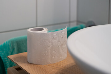  white started toilet paper roll stands next to a wash basin