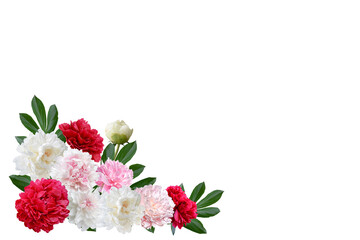 frame of white, red and pink peony flowers with leaves isolated on white