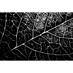 Leaf structure