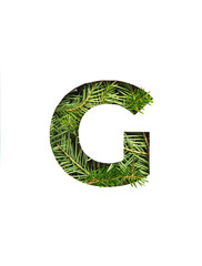 Letter G of English alphabet of natural evergreen spruce tree needles and paper cut isolated on...