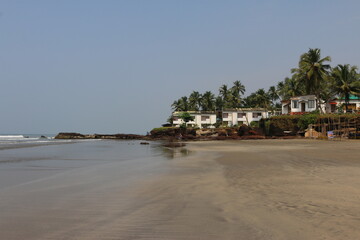 Fototapeta na wymiar house in the palms of Goa India