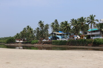 house in the palms of Goa India