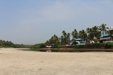 house in the palms of Goa India