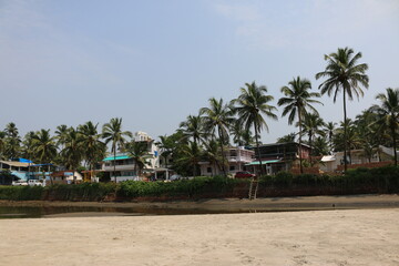 Obraz premium house in the palms of Goa India