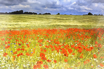 Red poppies field colorful painting looks like picture.