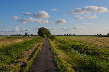 Fototapeta na wymiar dutch path in the countryside with windmill