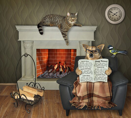 A beige dog is sitting in a black leather chair and reading a newspaper at a fireplace at home.