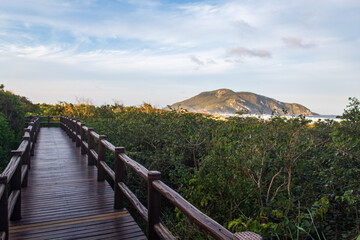caminho da Praia tropical do sul do Brasil,  ilha de Florianópolis, Praia do Santinho,  Florianopolis,  Santa Catarina
