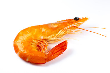 Tasty fresh Shrimp or prawn on white background..Close up photo.