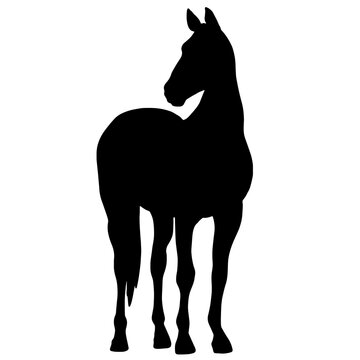 recommend clip art: Black silhouette of a horse.  Icon of stallion 