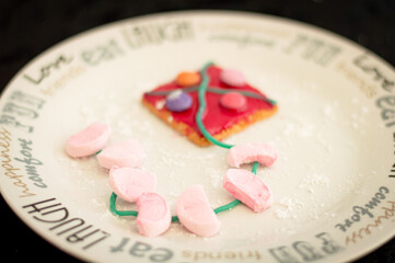 Smarties, marshmallows, icing sugar and cookies 4