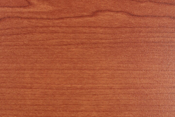 Texturas de maderas nobles con vetas en varios tonos 
