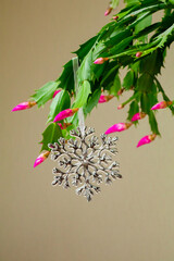 christmas background with branches