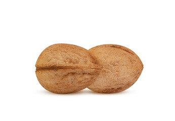 ripe walnut on a white background