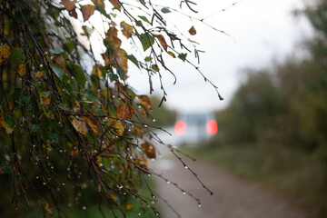 Verschwommene Rückleuchten in der Ferne