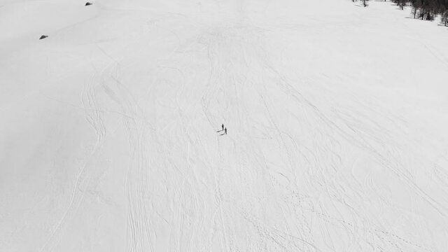 Aerial view of adult people ski touring in the mountains looking for adventure on the snow. Adventure people ski touring in the snowy Alps on a sunny day.